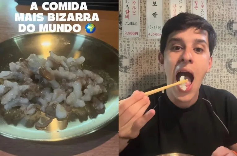 Comeria? Prato com polvo vivo divide opiniões nas redes sociais